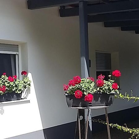 شقة Križevci pri Ljutomeru  في Apartma Mbm المظهر الخارجي الصورة