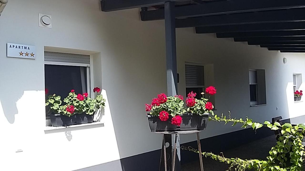شقة Križevci pri Ljutomeru  في Apartma Mbm المظهر الخارجي الصورة