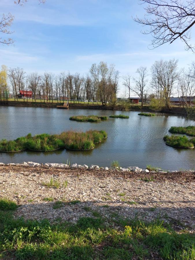 شقة Križevci pri Ljutomeru  في Apartma Mbm المظهر الخارجي الصورة